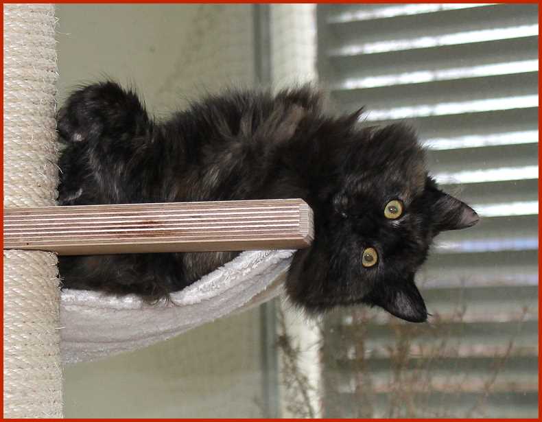 Cassandra 7,5 Monate