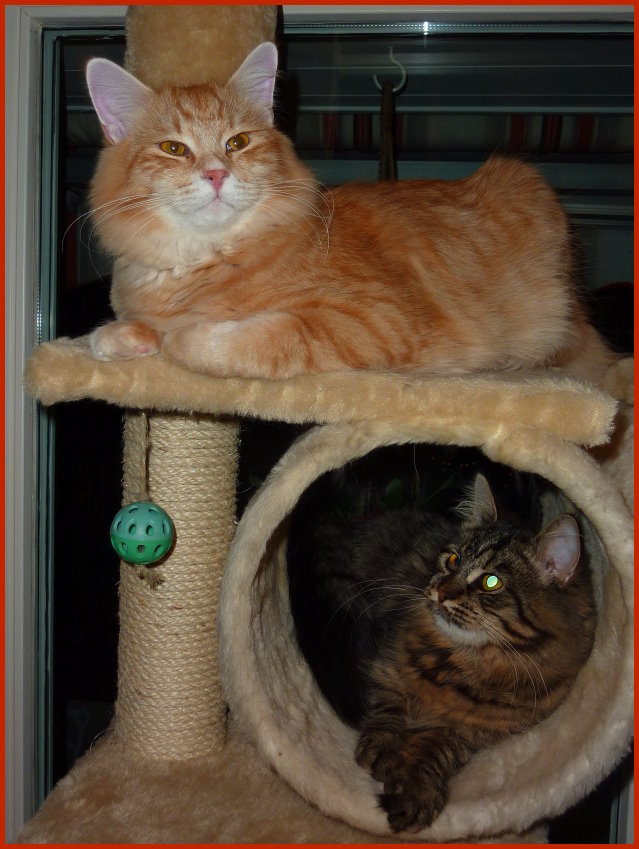 Yulischka 7,5 Monate